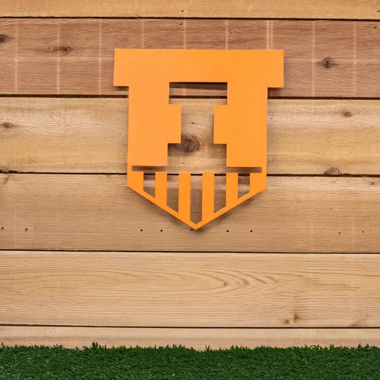 Illinois 1 color wall art