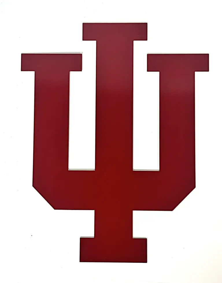 Indiana 1-color wall art